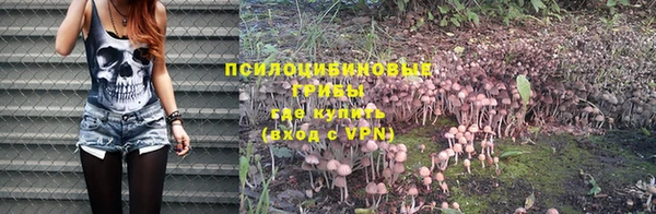 амфетамин Белокуриха