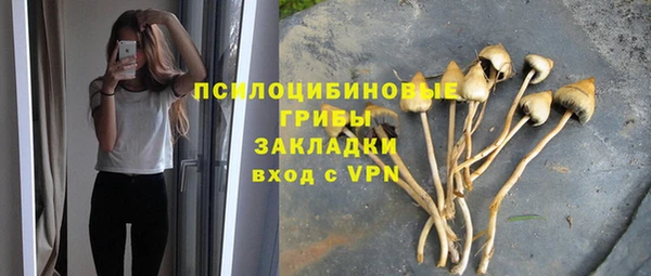 амфетамин Белокуриха