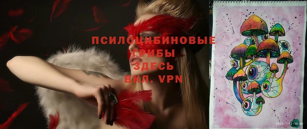 амфетамин Белокуриха